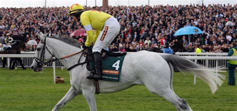 bet365 grand national odds